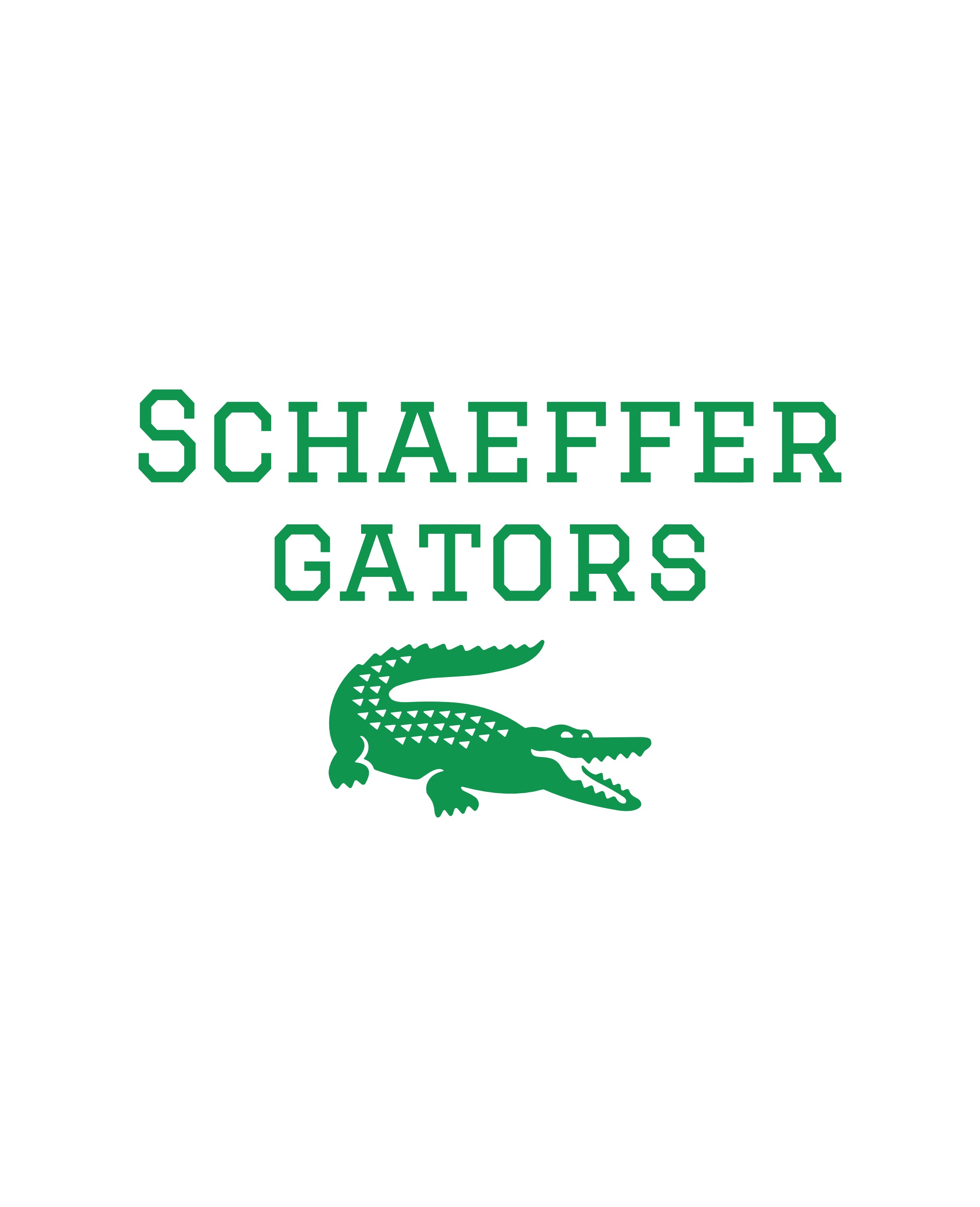 Schaeffer Elementary Store