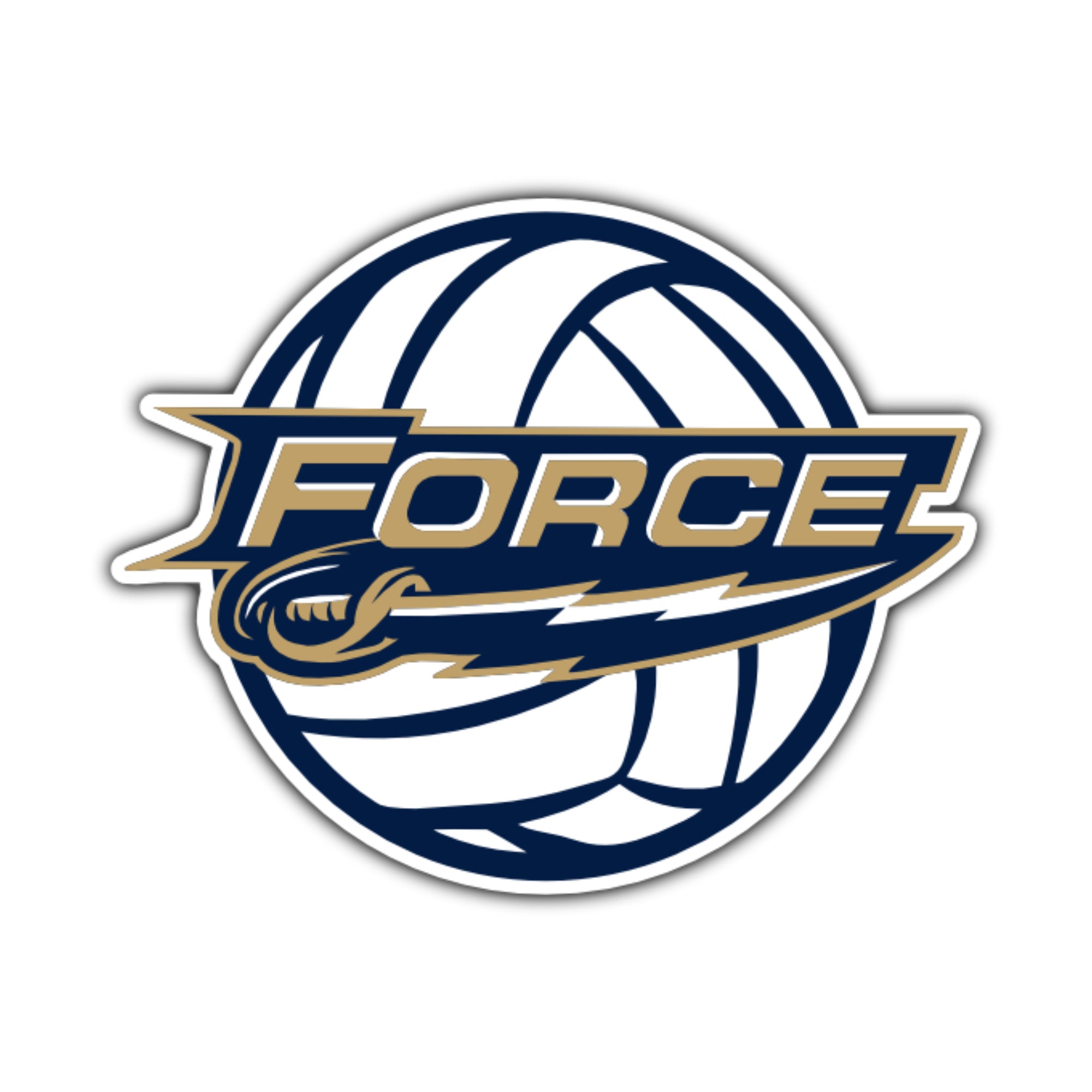 25122012 Force Volleyball Car Magnet