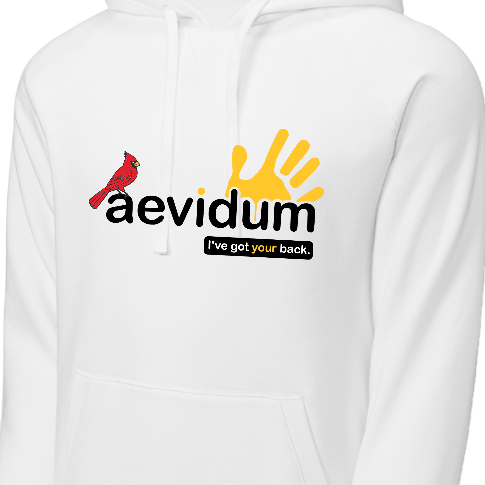 PGASH01 - 03 Aevidum Hoodie
