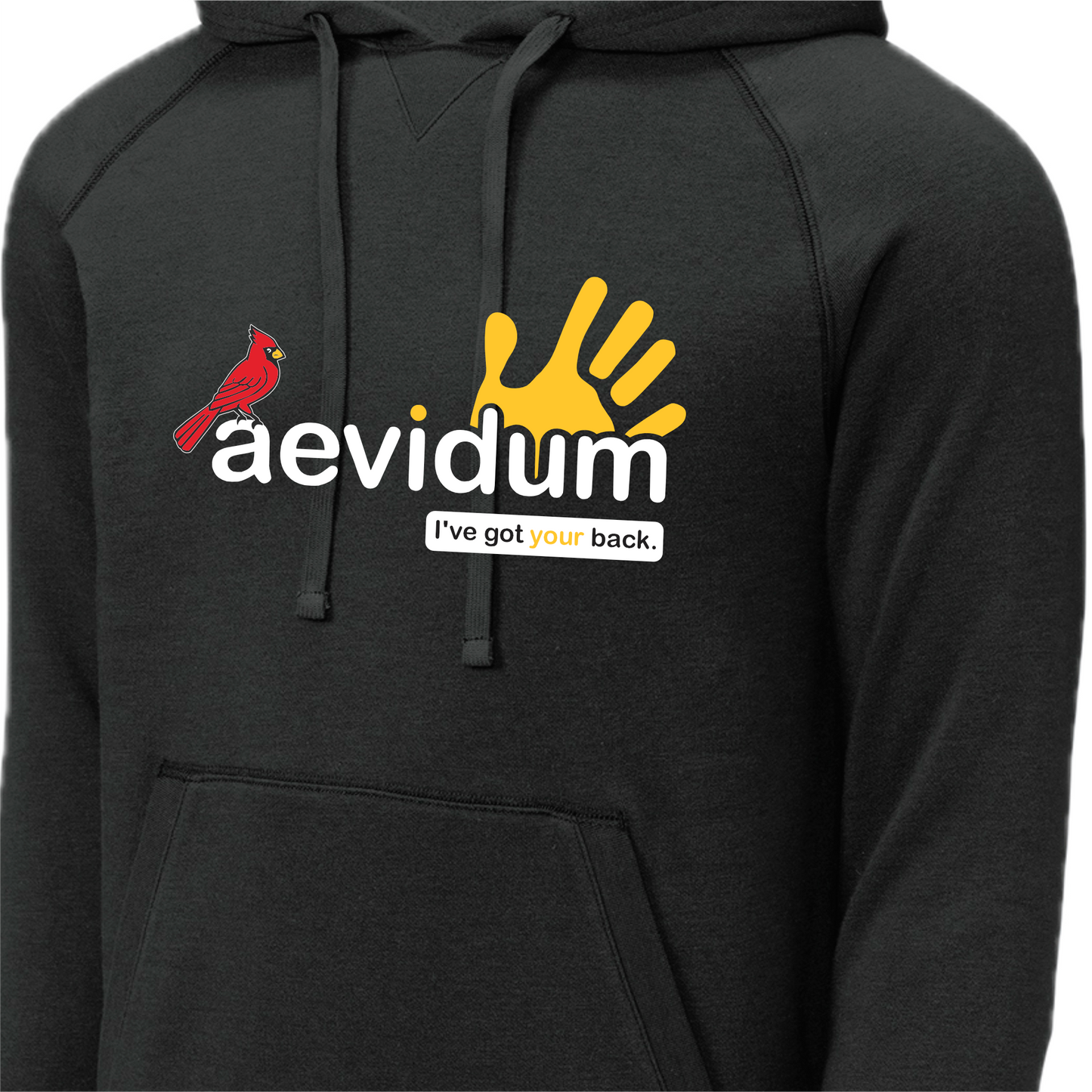 PGASH01 - 03 Aevidum Hoodie