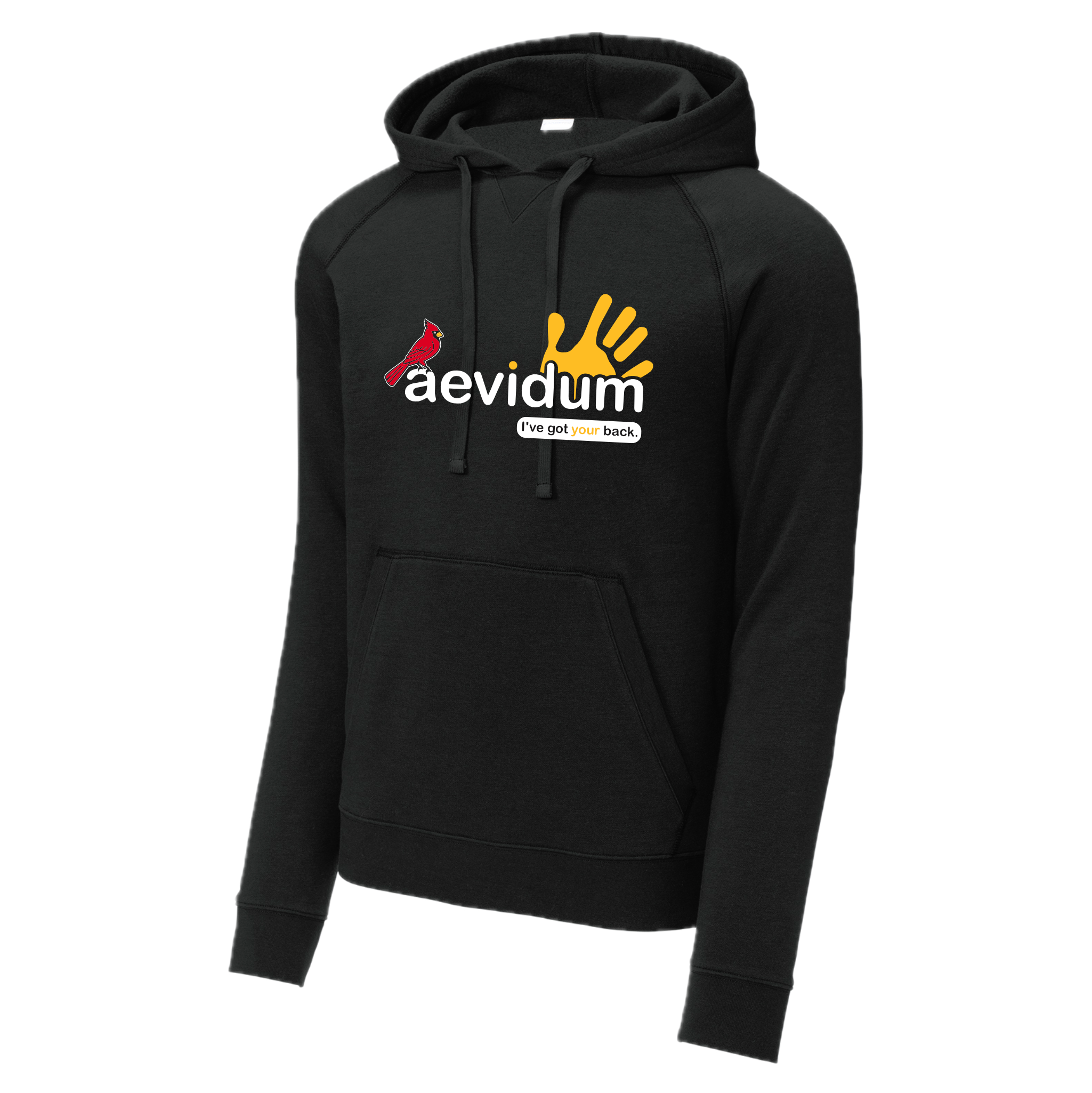 PGASH01 - 03 Aevidum Hoodie